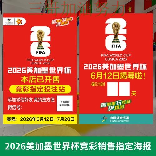 世界杯投注网站大全如何操作靠谱吗?数据分析结果来了(2026世界杯) 世界杯投注网站大全如何操作靠谱吗?数据分析结果来了(2026世界杯)